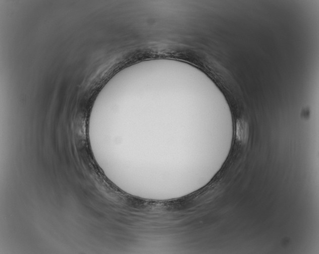 X0000116331155200912221414