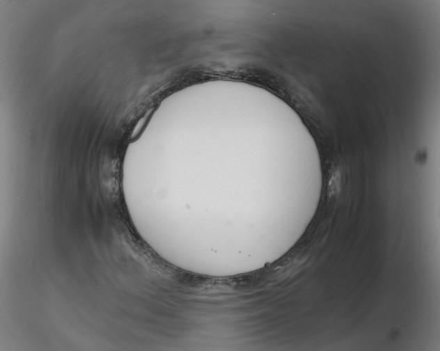 X0000116331156200912221414