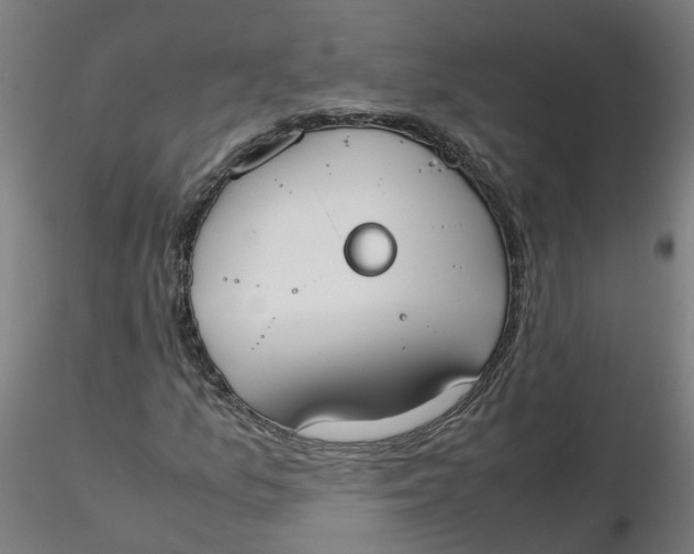 X0000116331157200912221414