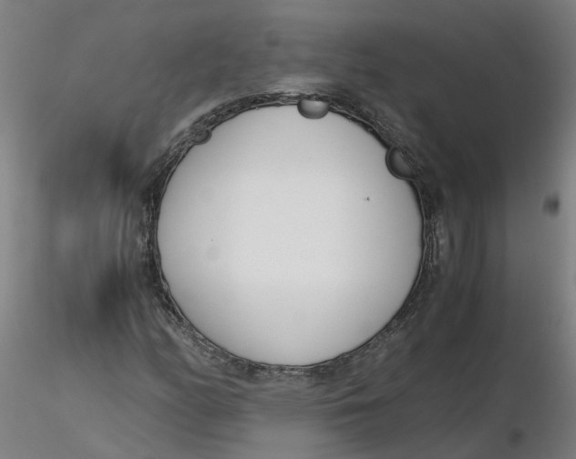 X0000116331158200912221414