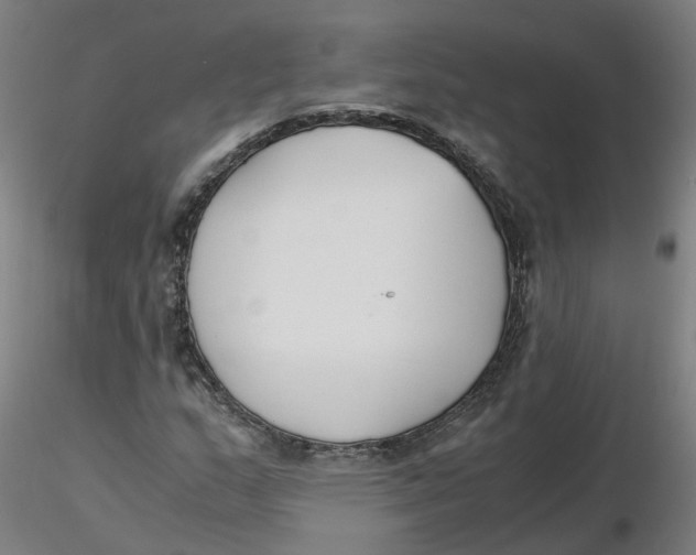 X0000116331159200912221414