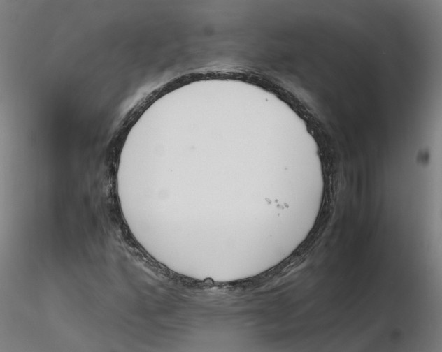 X0000116331160200912221414