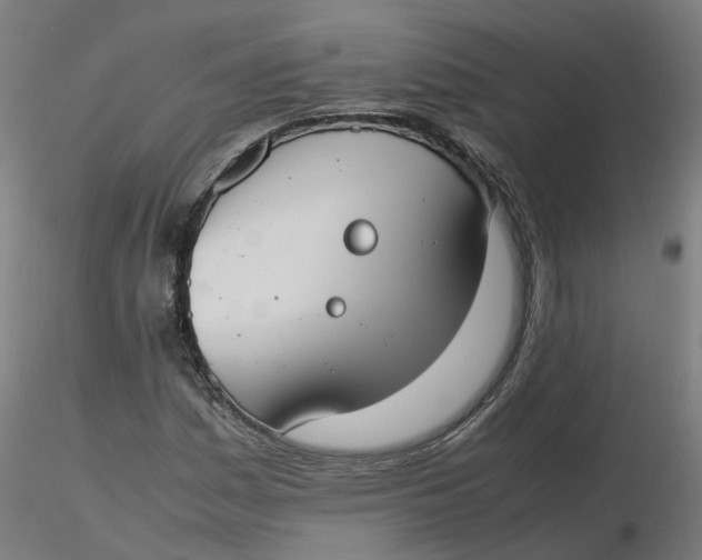 X0000116331161200912221414