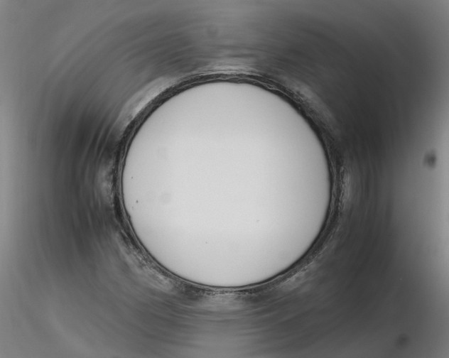 X0000116331162200912221414