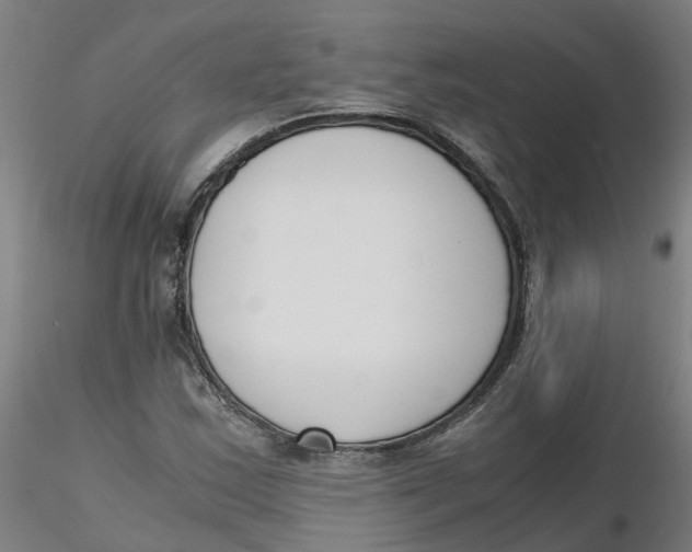 X0000116331163200912221414