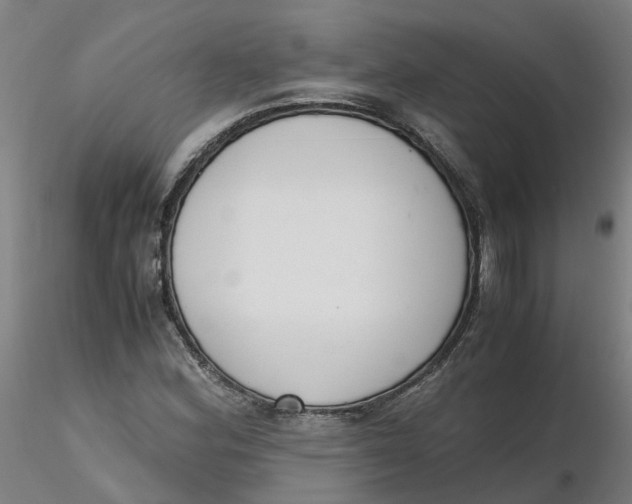 X0000116331164200912221414