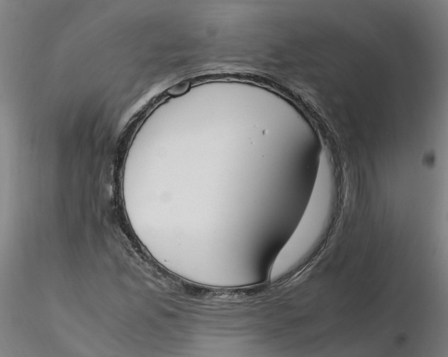 X0000116331165200912221414