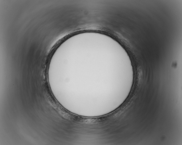 X0000116331166200912221414