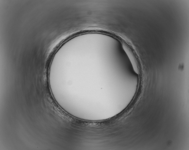 X0000116331167200912221414