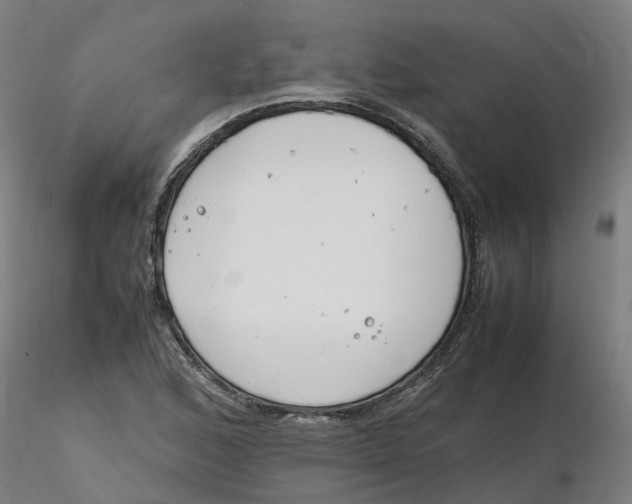 X0000116331168200912221414