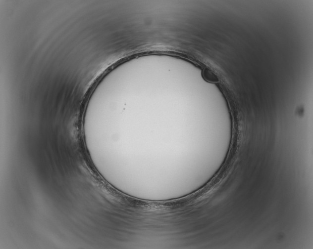 X0000116331170200912221414