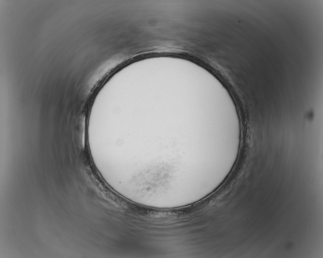 X0000116331171200912221414