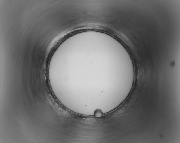 X0000116331172200912221414