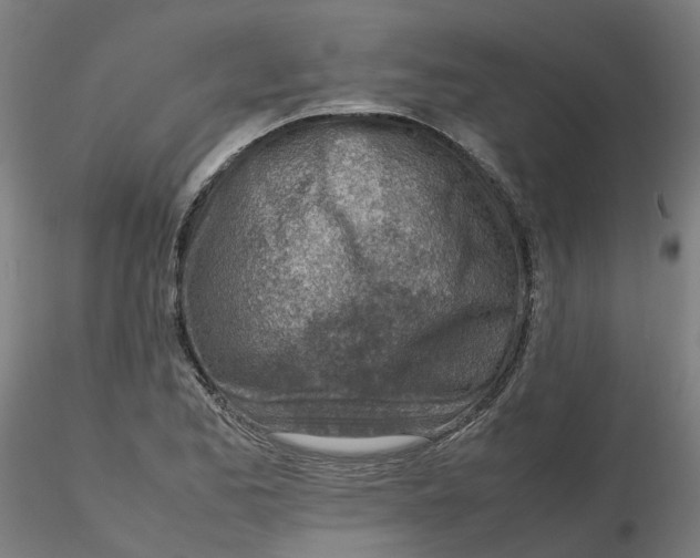 X0000116331173200912221414