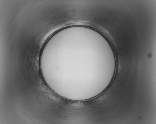 X0000116331174200912221414