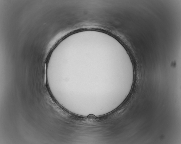 X0000116331175200912221414