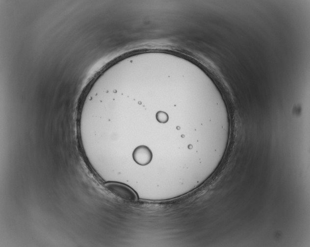 X0000116331176200912221414