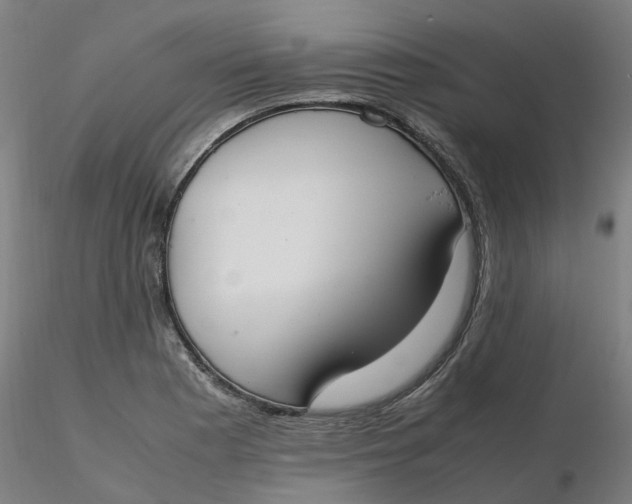 X0000116331177200912221414