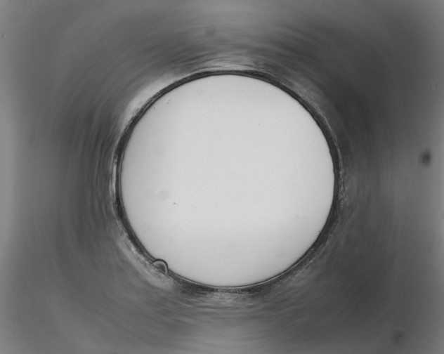 X0000116331179200912221413