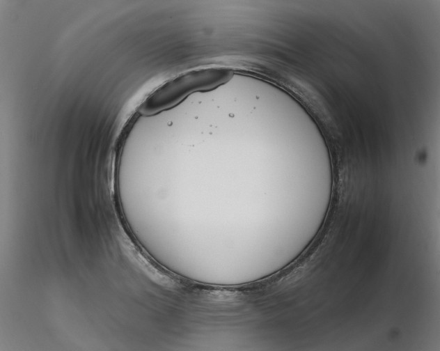 X0000116331180200912221413