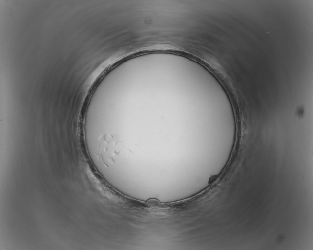 X0000116331181200912221413