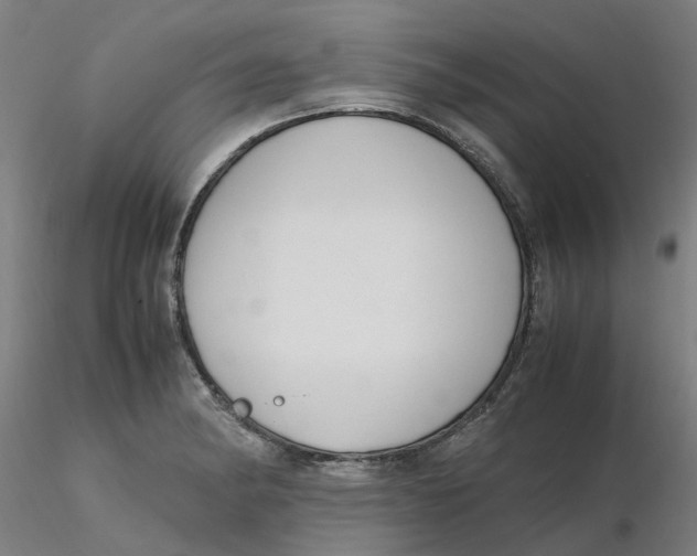 X0000116331182200912221413