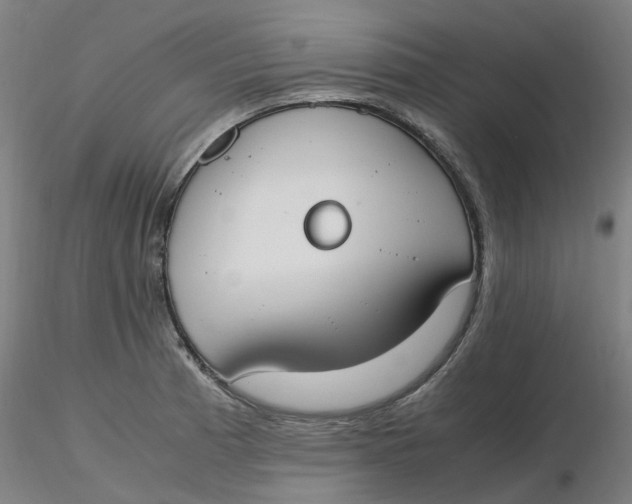 X0000116331185200912221413