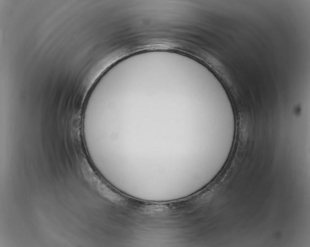 X0000116331186200912221413