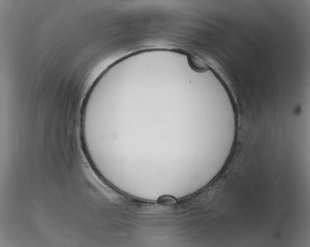 X0000116331187200912221413