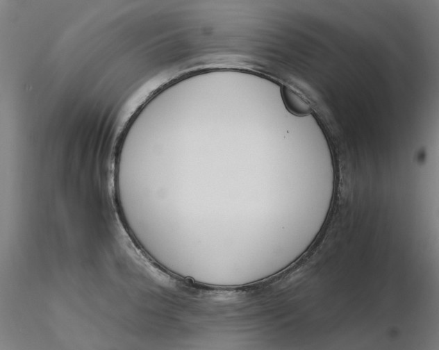 X0000116331188200912221413