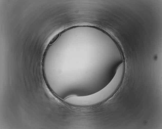 X0000116331189200912221413