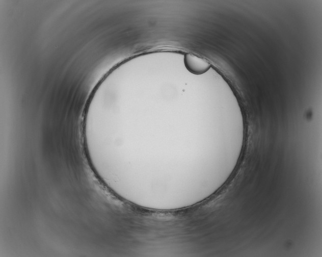 X0000116331190200912221413