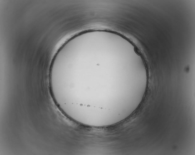 X0000116331191200912221413