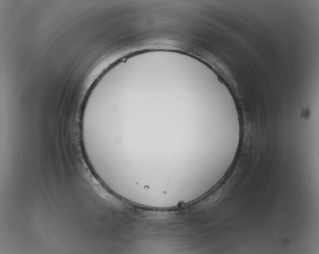 X0000116331192200912221413