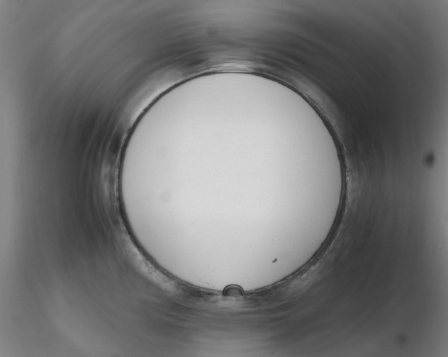 X0000116331194200912221413