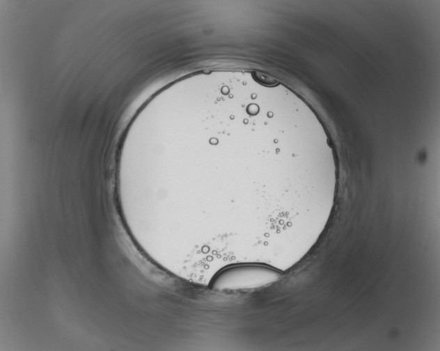 X0000116331195200912221413