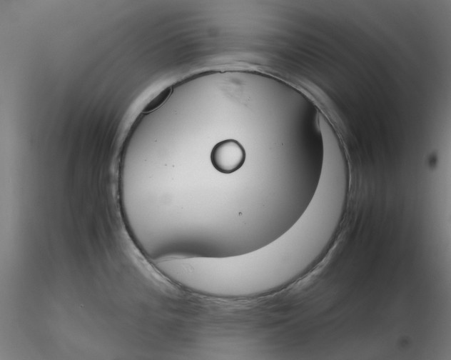 X0000116331196200912221413