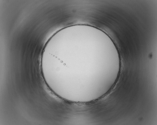 X0000116331198200912221413