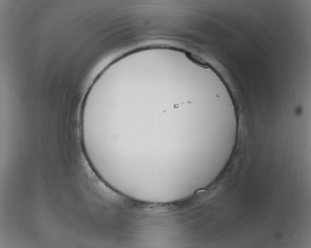 X0000116331199200912221413