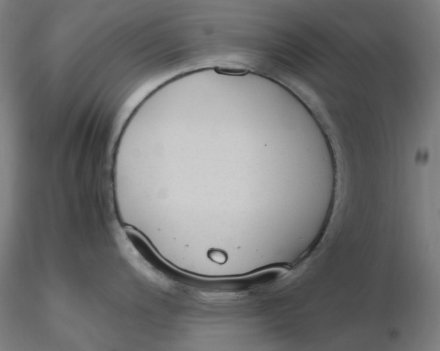 X0000116331200200912221413