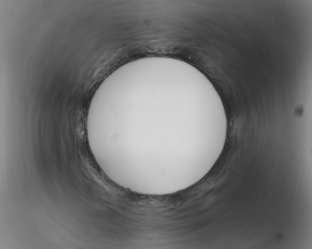 X0000116331202200912221413