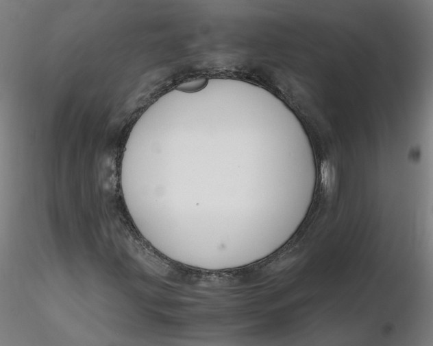 X0000116331203200912221413