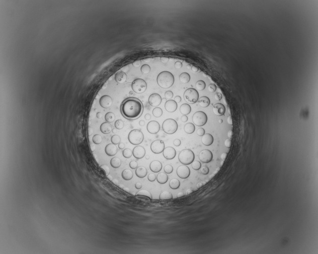 X0000116331205200912221413