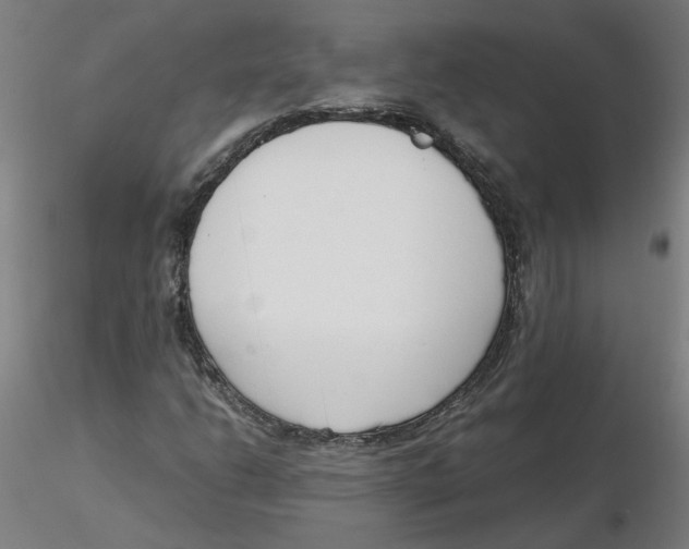 X0000116331206200912221413