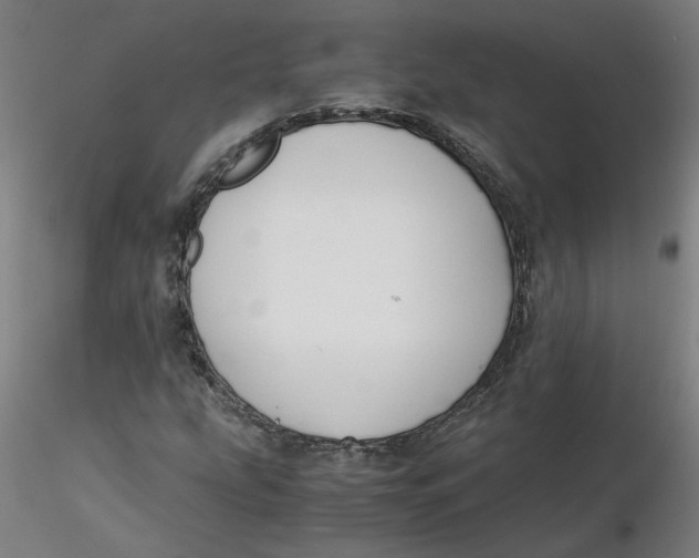 X0000116331207200912221413