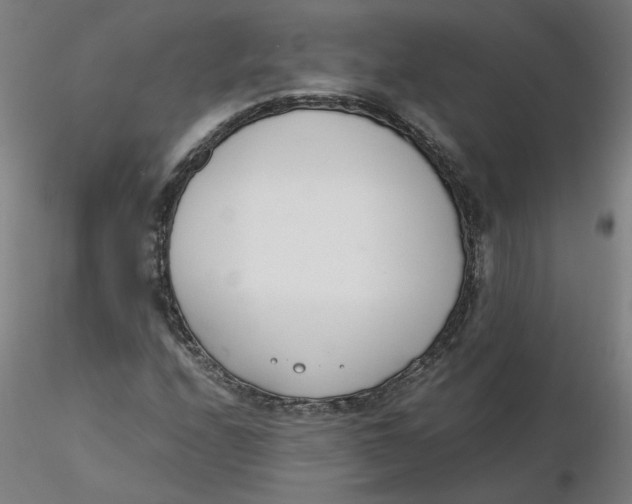 X0000116331208200912221413