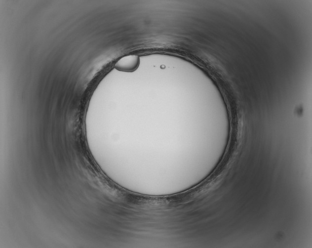 X0000116331210200912221413