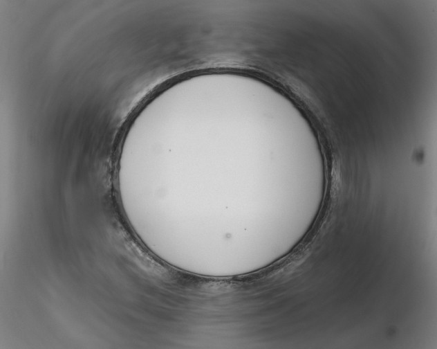 X0000116331212200912221413