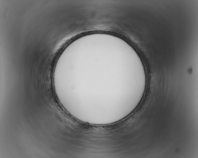 X0000116331214200912221413