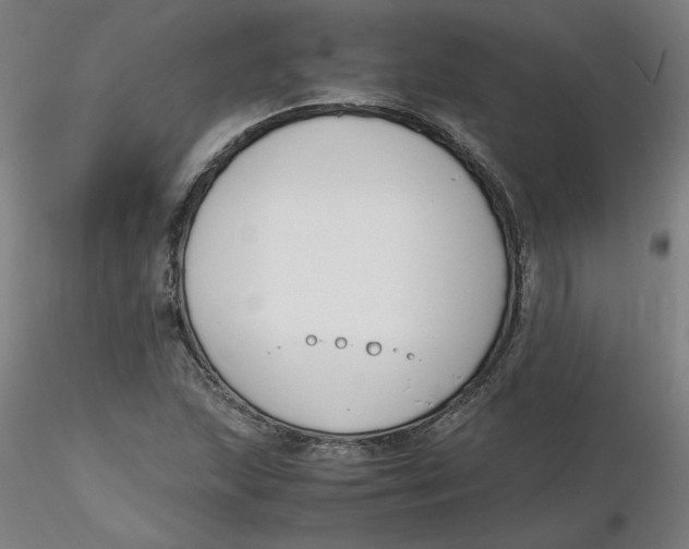 X0000116331215200912221413